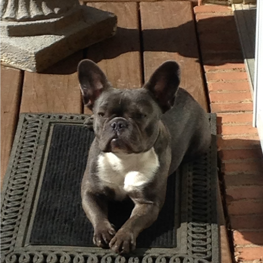 I’M LIVE! ❤️❤️PLEASE LIKE AND SHARE TO BE NOTIFIED WHEN I GO LIVE!!❤️❤️ - Picture 9 of 11